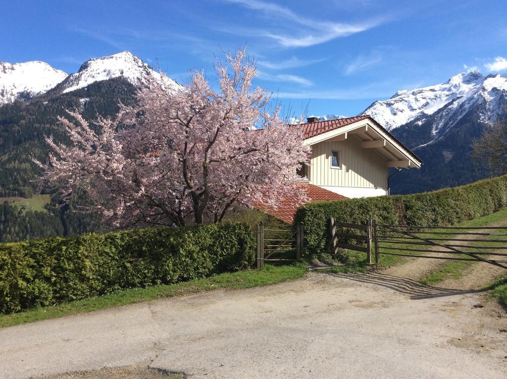 Ferienwohnung Zwoelferblick 布拉保韦德库 客房 照片